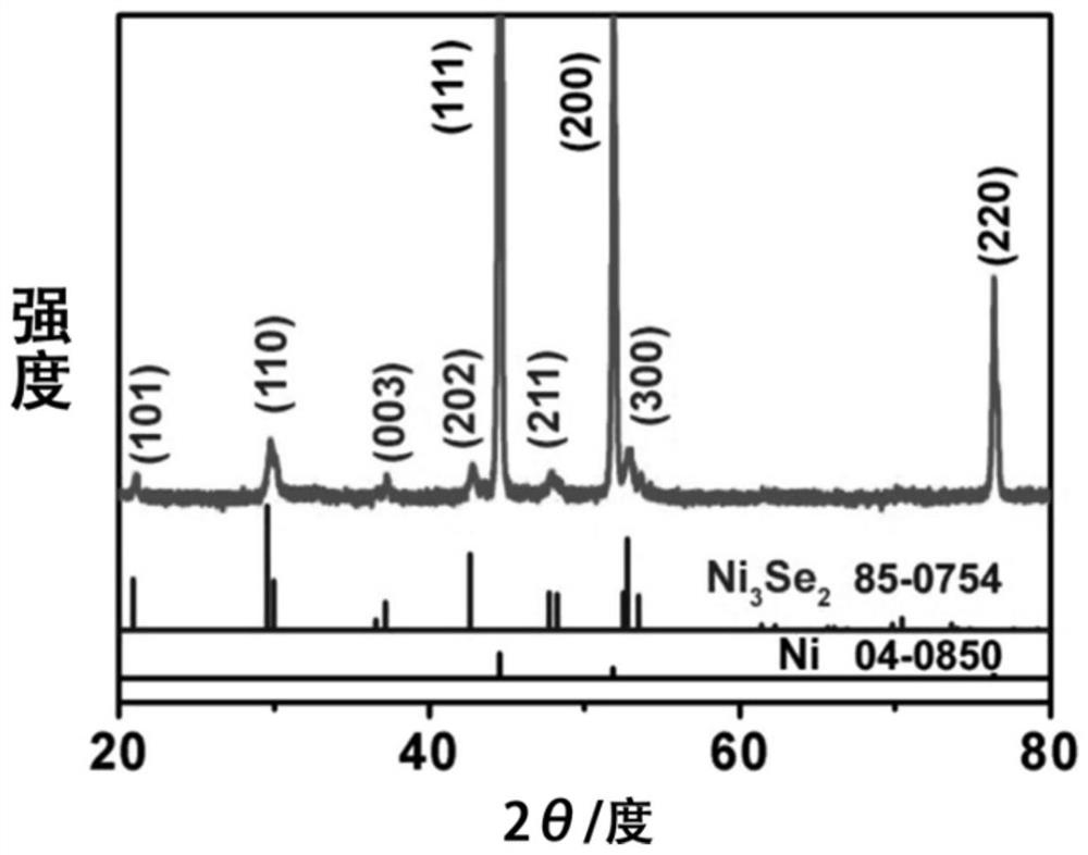 Nickel selenide composite material loaded with ferronickel tannate and preparation method and application of nickel selenide composite material