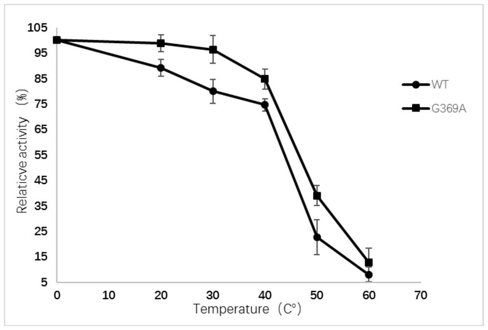 A l-aspartate-α-decarboxylase with improved thermostability