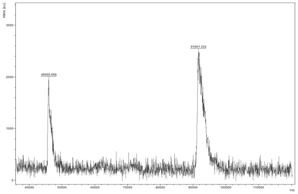 Collagen bio-ink for 3D printing and 3D printing method