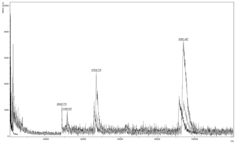 Collagen bio-ink for 3D printing and 3D printing method