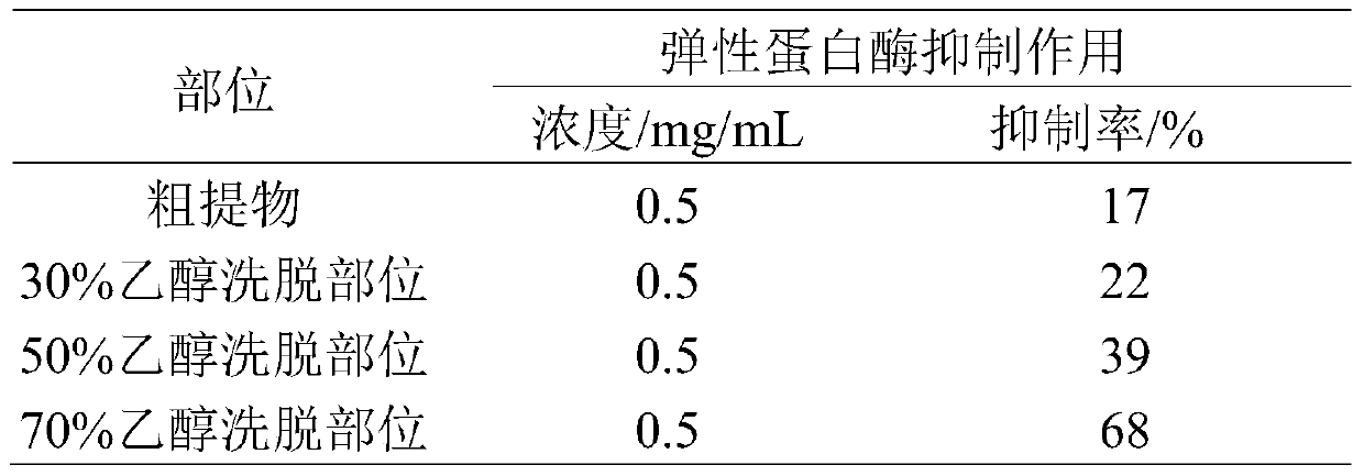 A kind of green thorn leaf extract and its preparation method and application