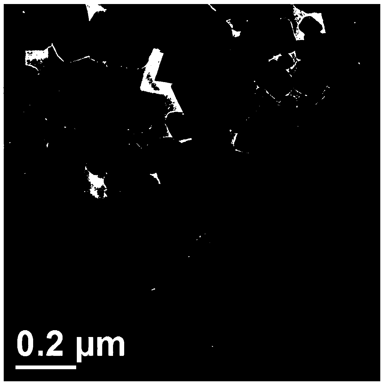 Graphene-supported ferroferric oxide magnetic powder particles and preparation method thereof