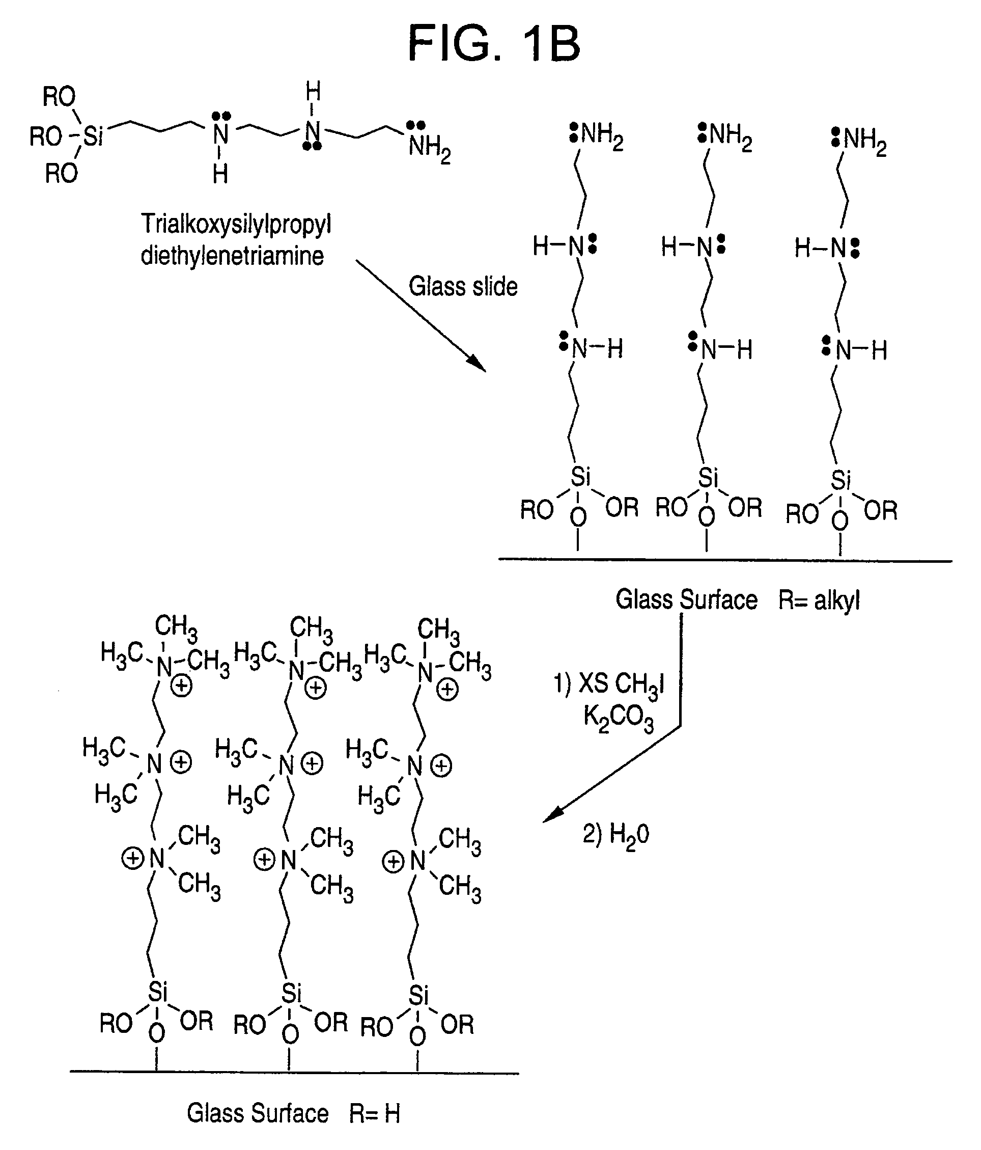 Biomolecule retaining material and methods for attaching biomolecules to a surface