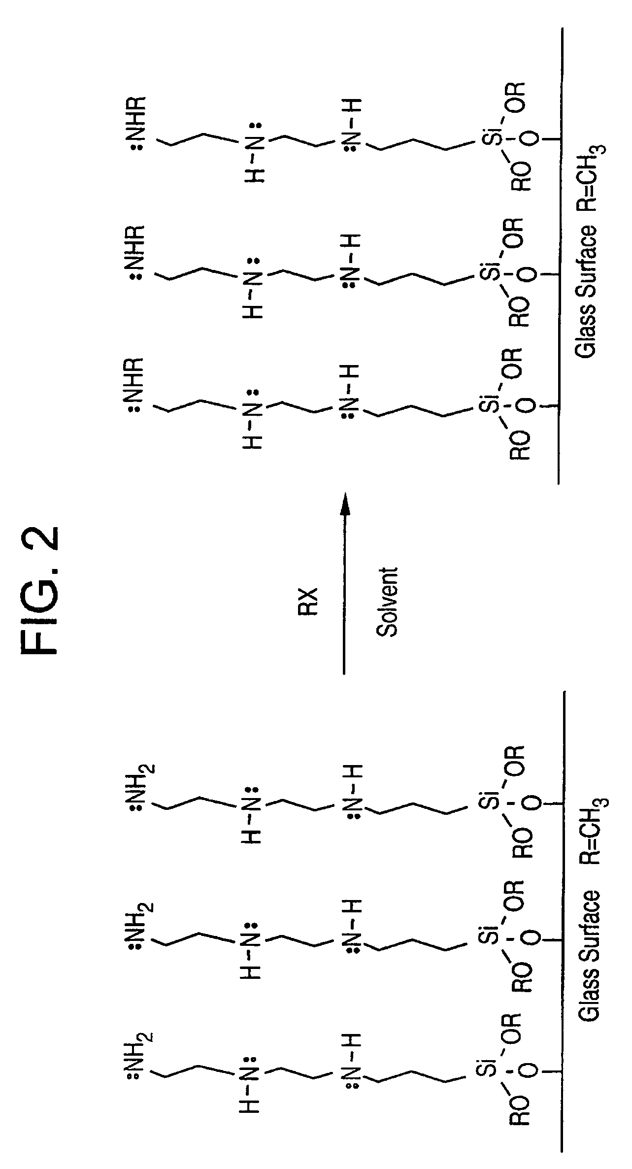 Biomolecule retaining material and methods for attaching biomolecules to a surface