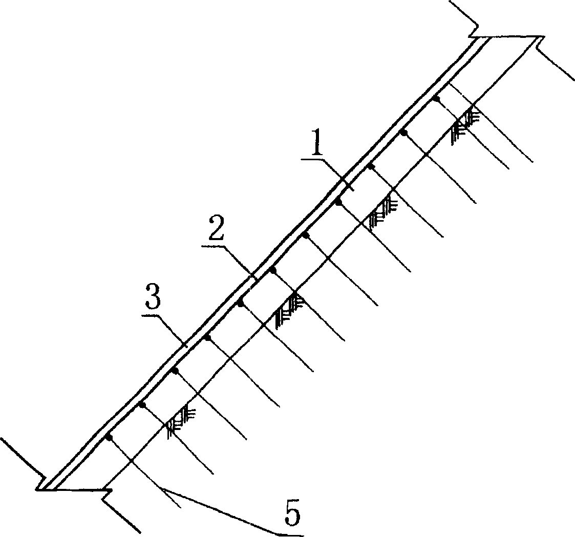 Ecological slope-protecting method with anti-scouring substrate ...