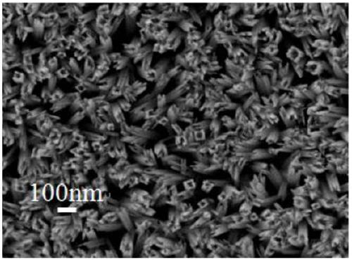 A strontium titanate-titanium dioxide composite nanotube array film and its preparation method and application