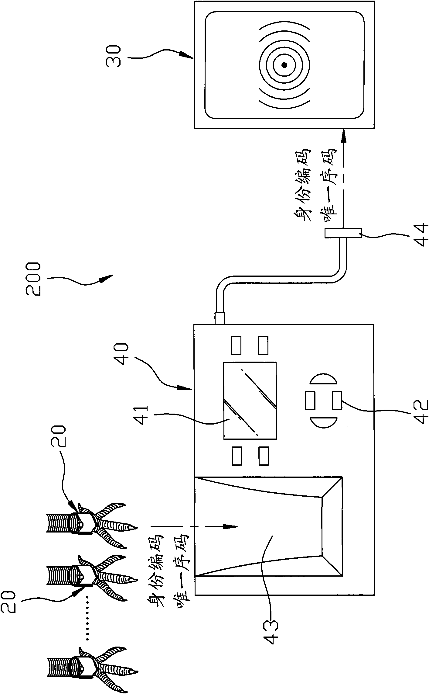 System and method for multiple-authentication of race pigeon identities