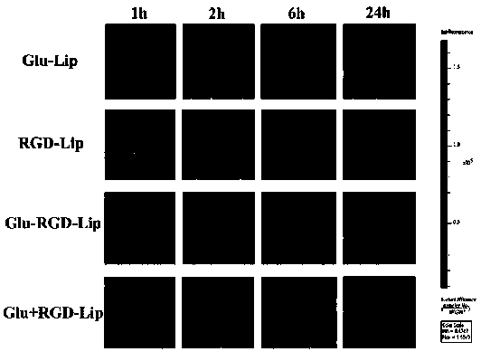 Novel double brain tumor-targeted lipid material and application thereof