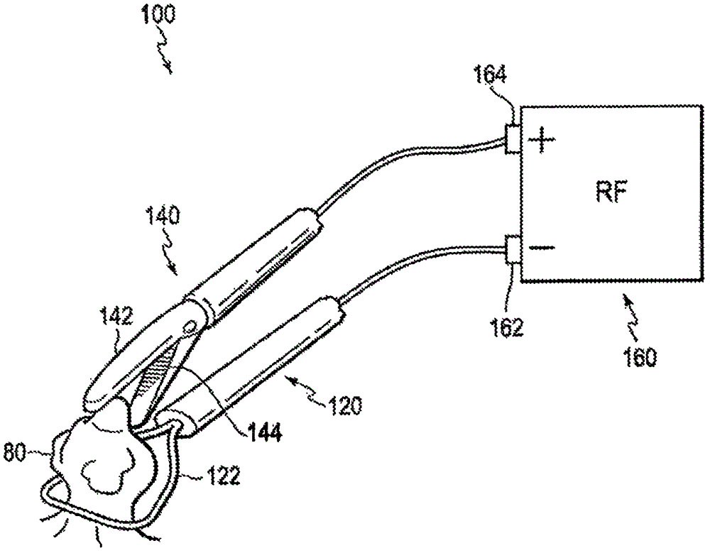 Electrosurgical system having grasper and snare with switchable electrode