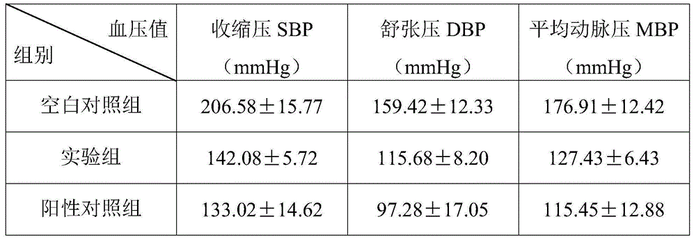 Traditional Chinese herbal medicine composition with hypotensive effect and application thereof