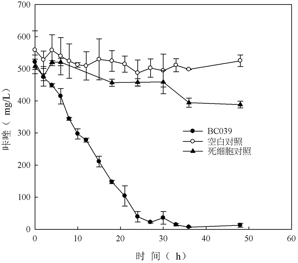 Carbazole-degrading bacterium and its culture method