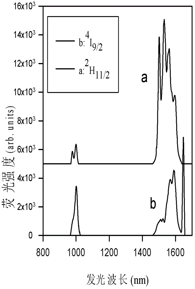 Application of single rare earth infrared first-order quantum tailoring in solar cells