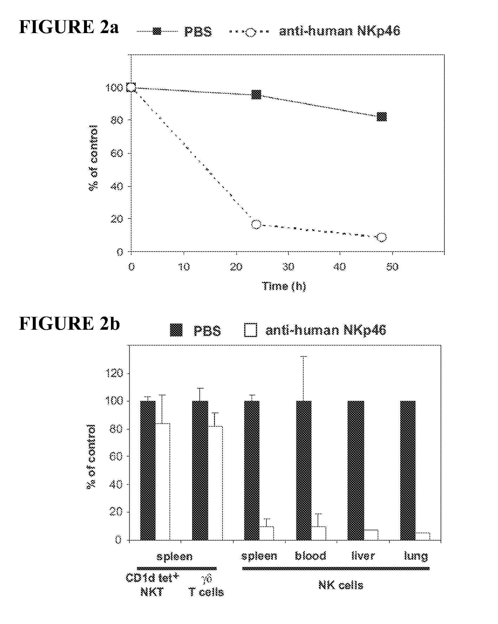 Compositions and Methods for Treating Proliferative Disorders