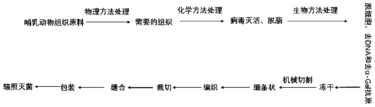 Novel three-dimensional tendon biological patch, and preparation method and applications thereof