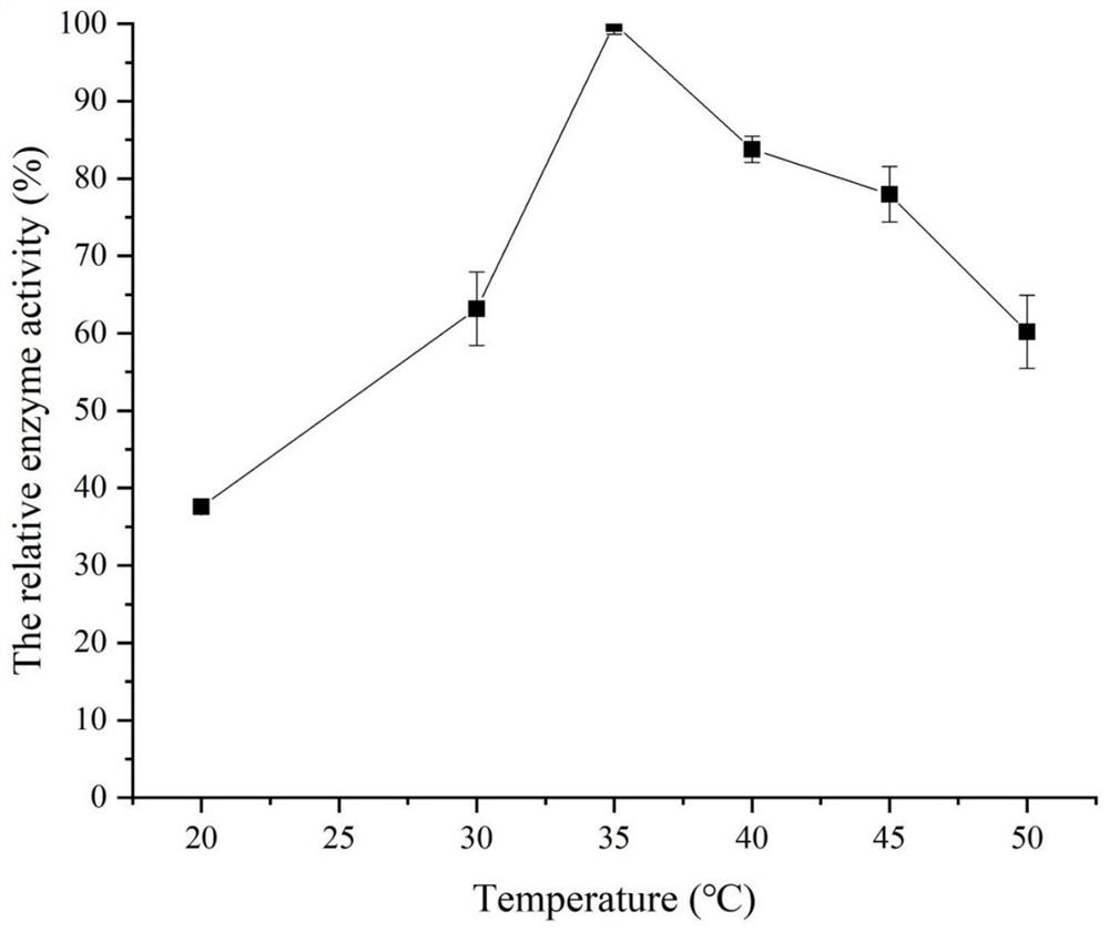 Laminarinase ouc-l1 and its coding gene and application