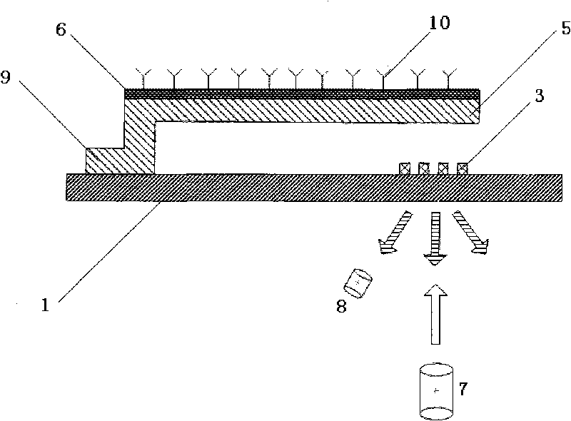 Integrated grating micro-cantilever biochemical sensor and chip manufacturing method