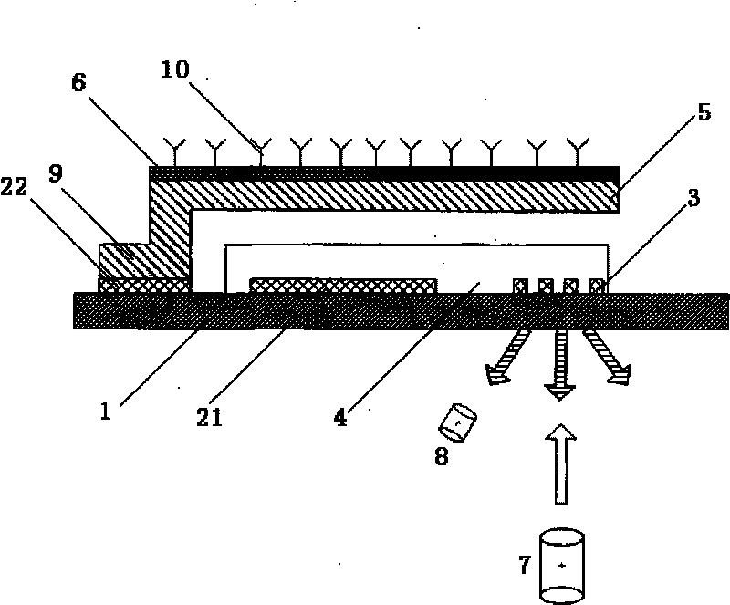 Integrated grating micro-cantilever biochemical sensor and chip manufacturing method