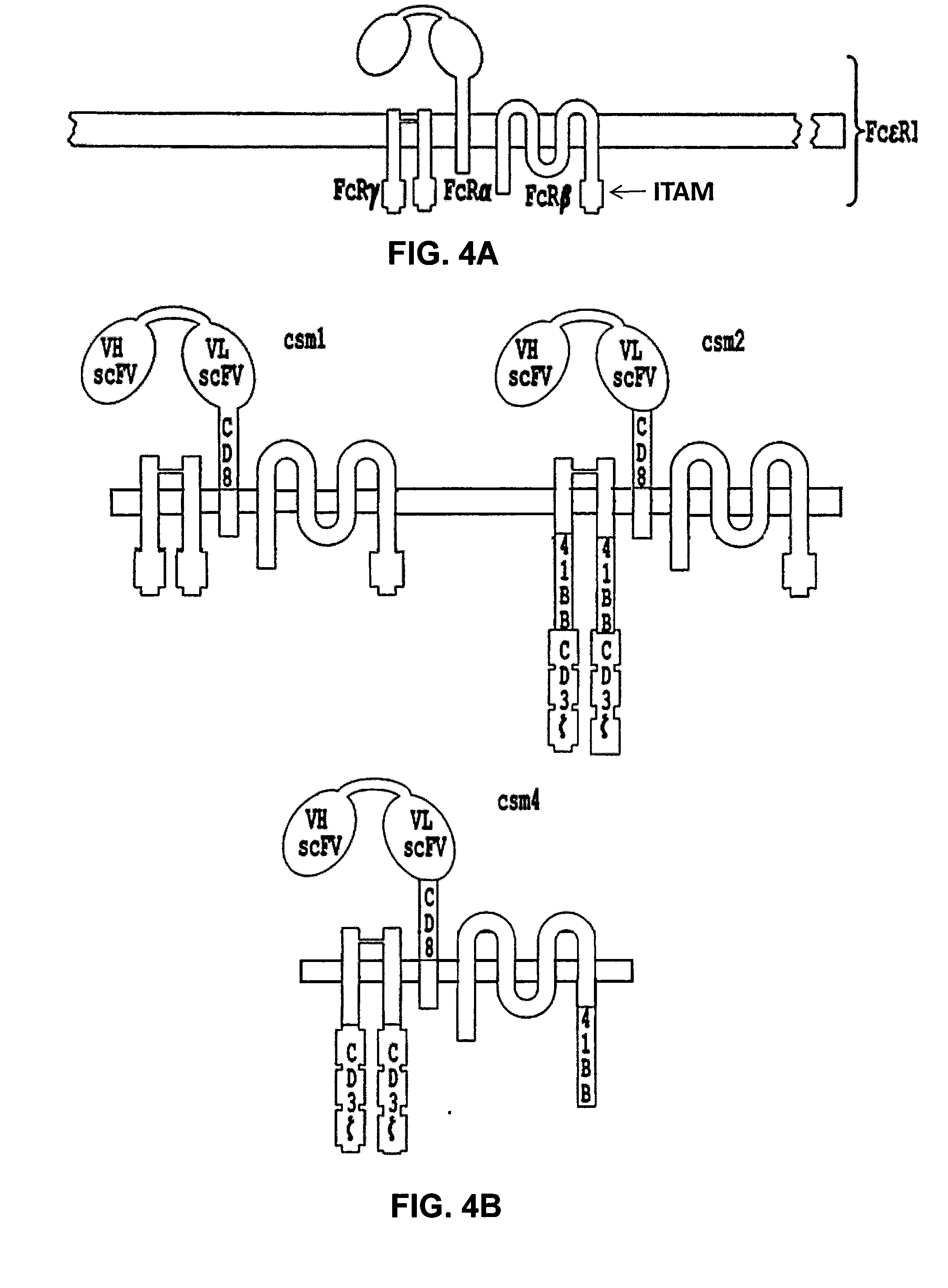 Multi-Chain Chimeric Antigen Receptor and Uses Thereof