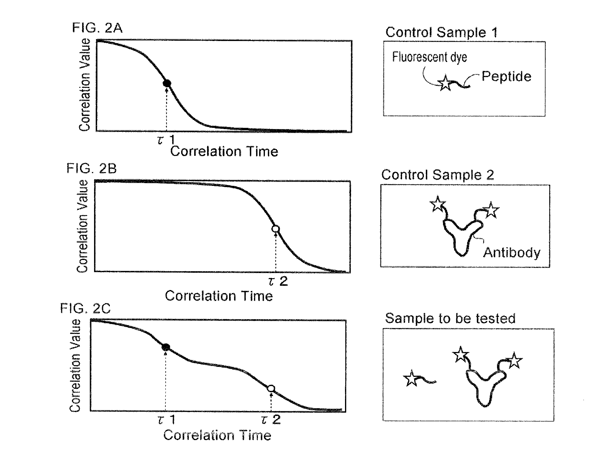 Apparatus, method and computer program for fluorescence correlation spectroscopy