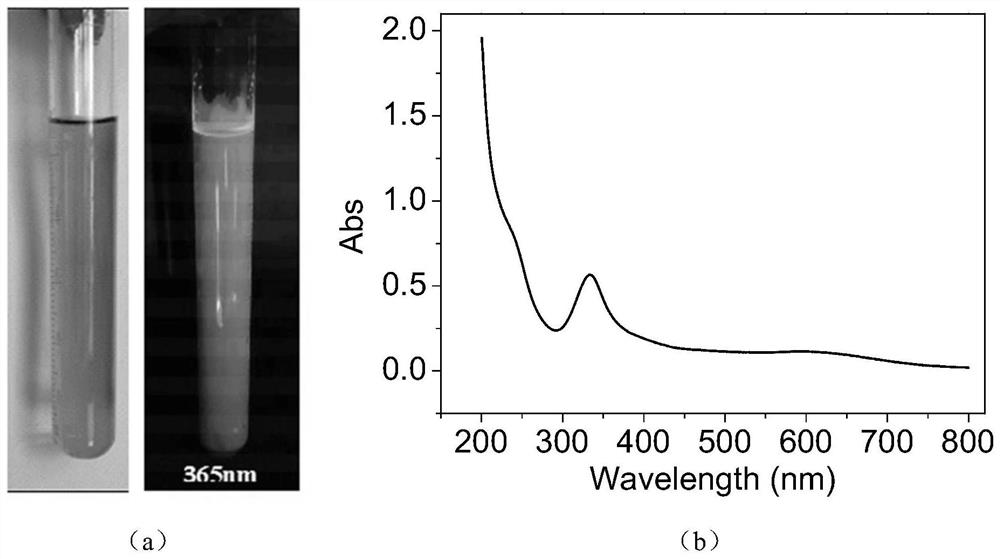 Preparation method of nitrogen-doped graphene quantum dot hybrid membrane for selective adsorption of copper ions from mixed metal solutions