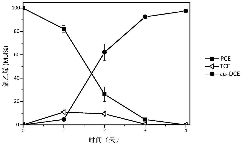 A strain of Geobacter geo-lyy for dehalogenation of halogenated organic matter and decolorization of dyes and its application