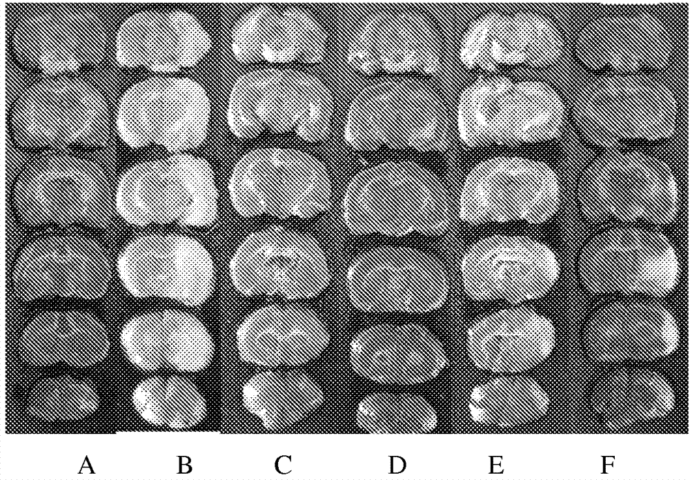 Composition of chinese herbal compound or extract and use thereof