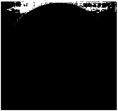 Siraitia grosvenorii endophyte bacterial strain capable of producing extracellular polysaccharides, method thereof for producing extracellular polysaccharides and application of extracellular polysaccharides