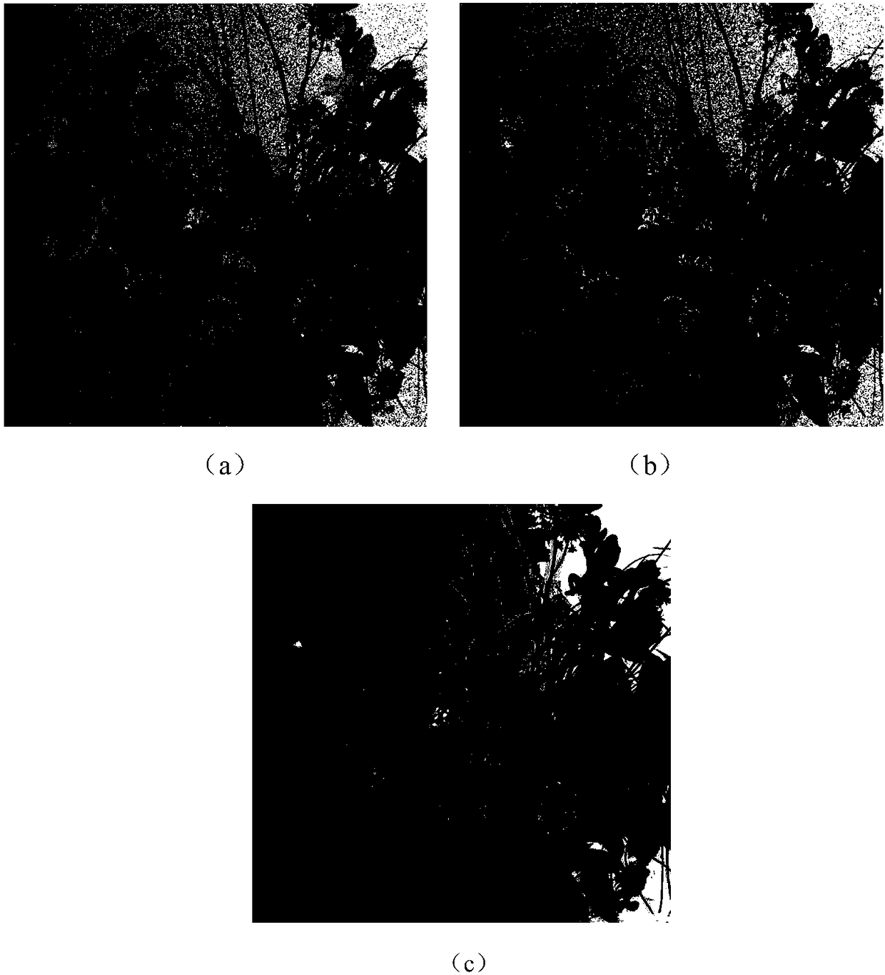 GAN (Generative Adversarial Nets)-based CFA (Color Filer Array) image demosaicing joint denoising method