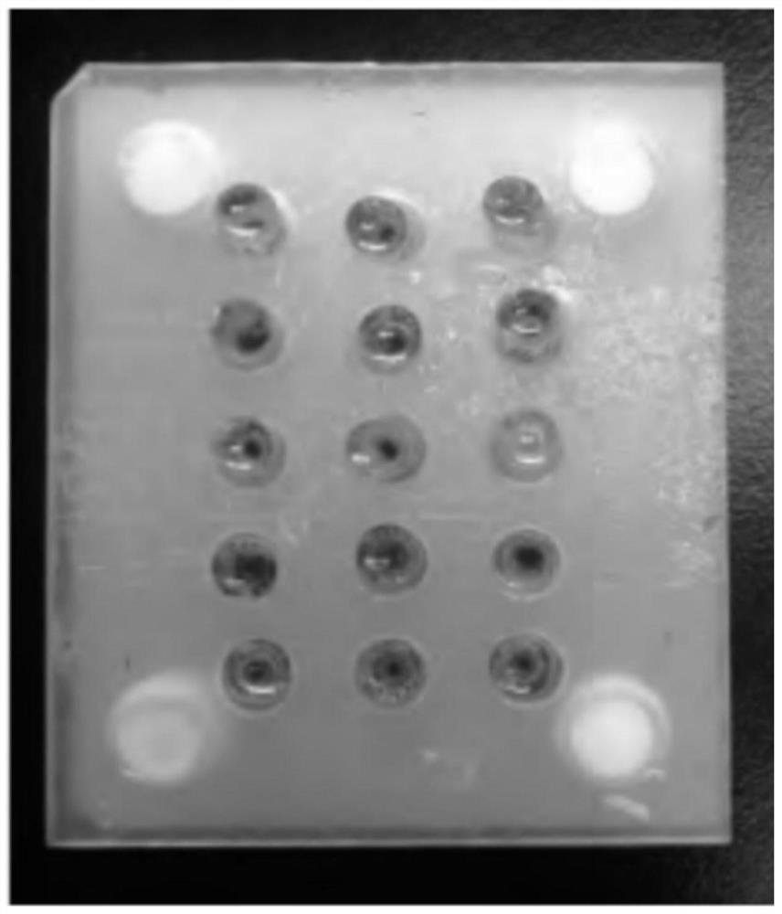 Improved method for cryopreservation of transmission electron microscope embedding medium