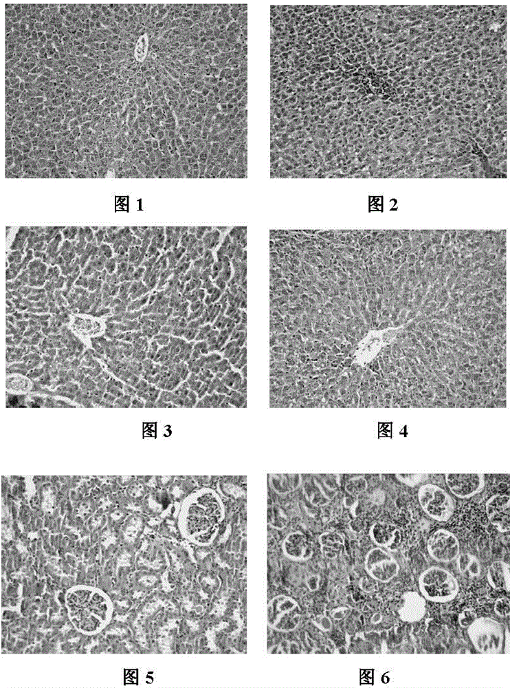 Extract for reducing blood pressure and adjusting blood fat and its preparation method and use