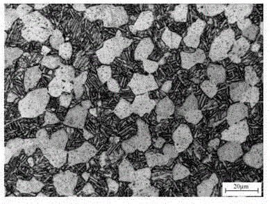 Method of acquiring tri-modal microstructure in near-alpha titanium alloy through furnace cooling