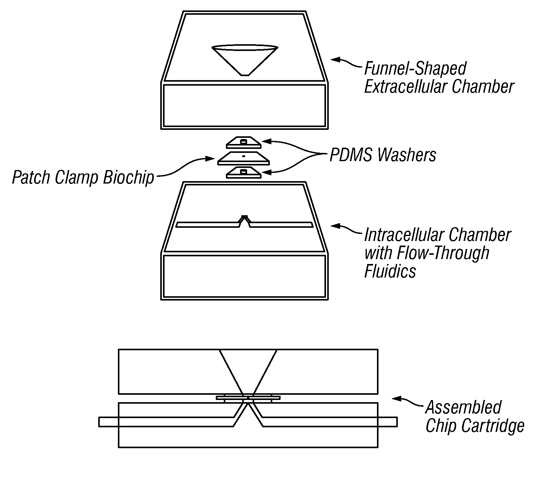 High-density ion transport measurement biochip devices and methods