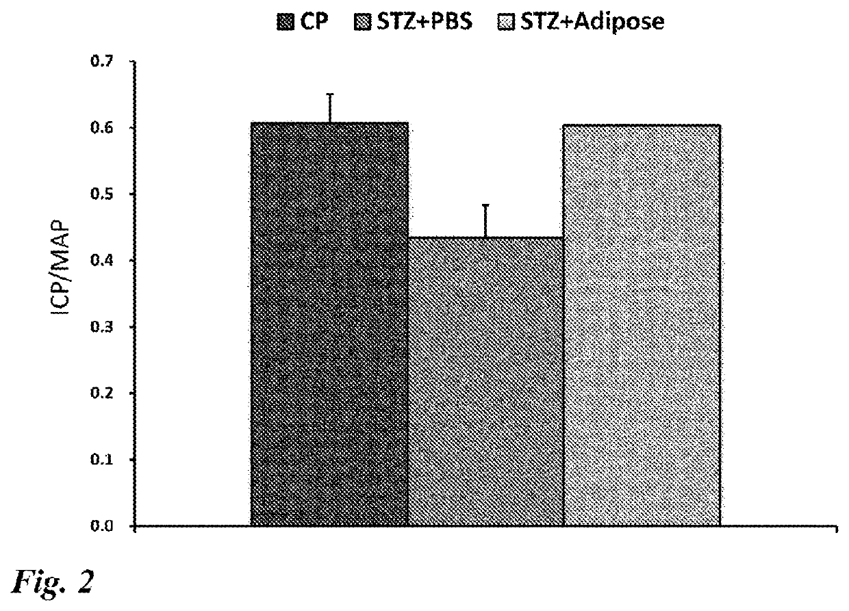 Erectile dysfunction therapeutic agent