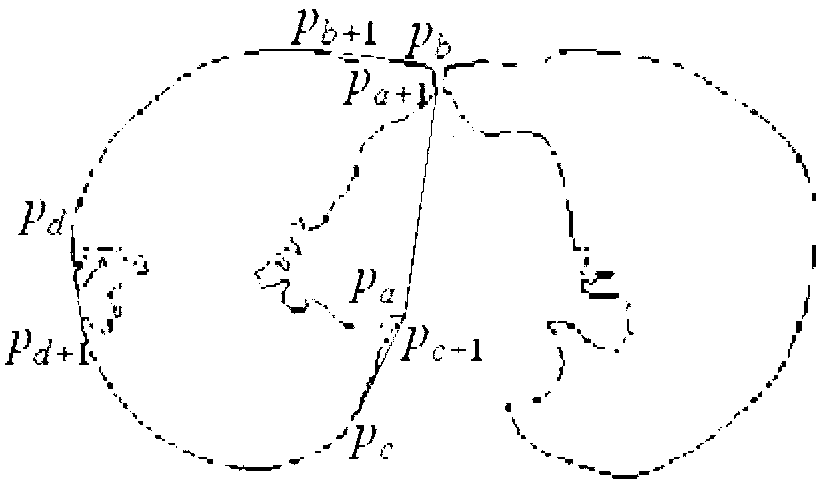 Lung parenchyma segmentation method based on convex hulls correcting by parabolic