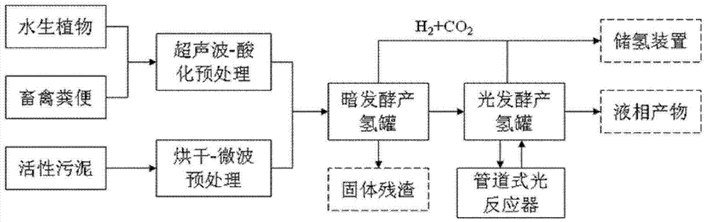 Biohydrogen production method and device adopting hydrophyte and animal manure light-dark cascade coupling
