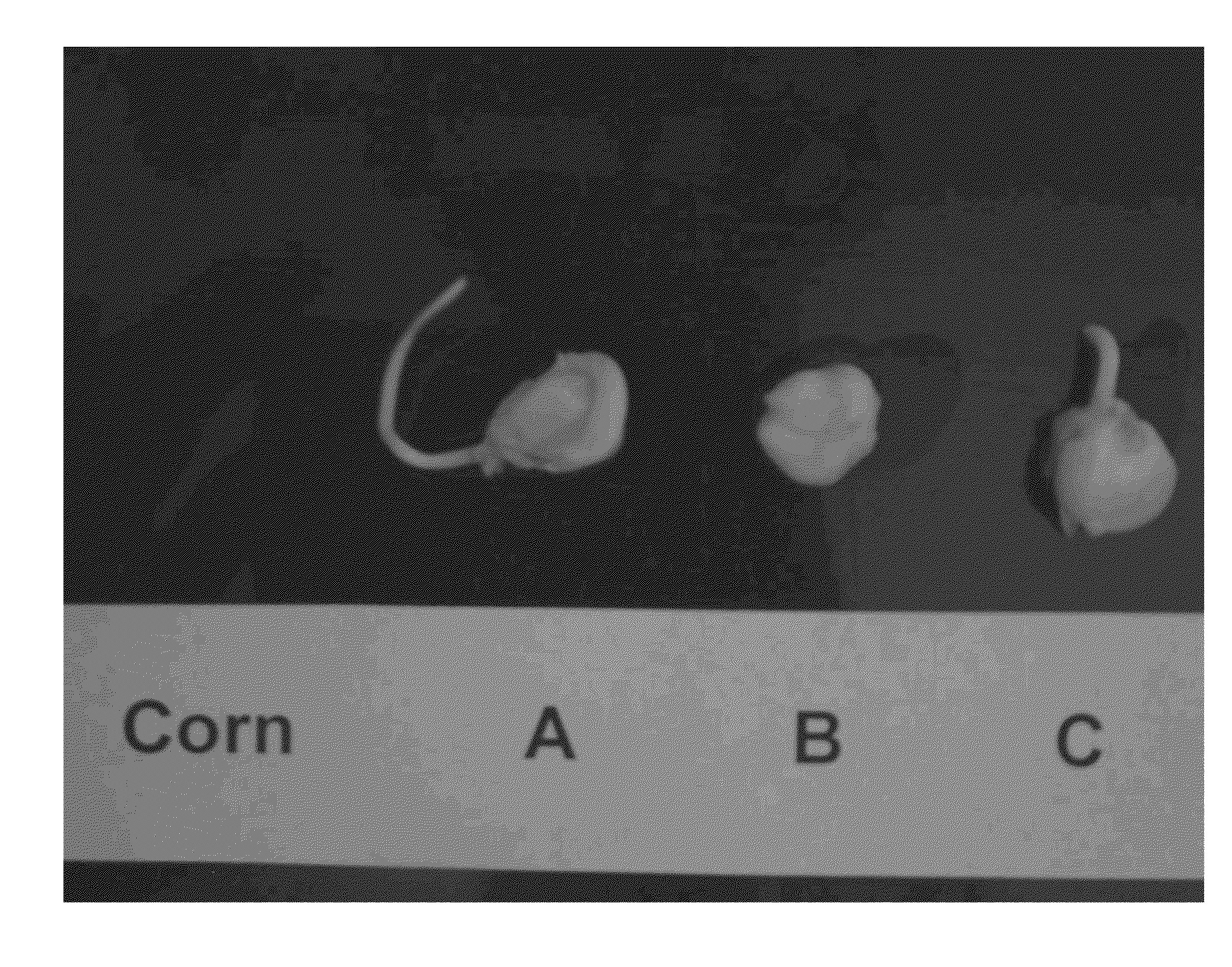 Compositions and methods for promoting fatty acid production in plants