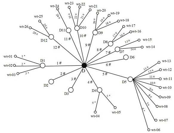 A wind tunnel test scheduling method and system based on deep reinforcement learning