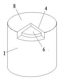 Diamond compact and manufacturing method thereof