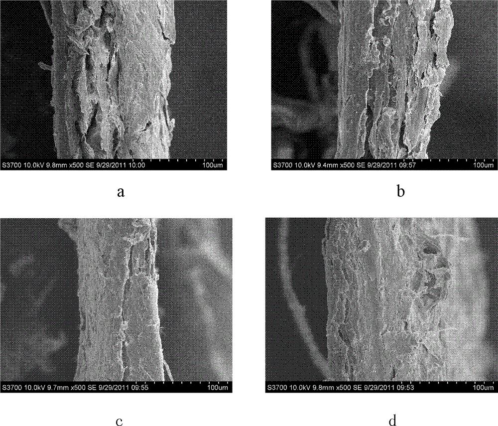 Preparation method of tobacco sheet from cabo and tobacco waste