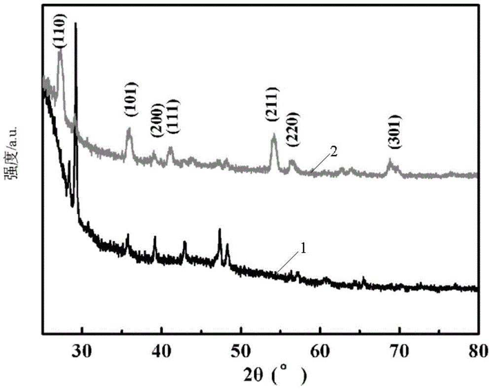 Preparation method for growing TiO2NWs on surfaces of carbon fibers in supercritical water