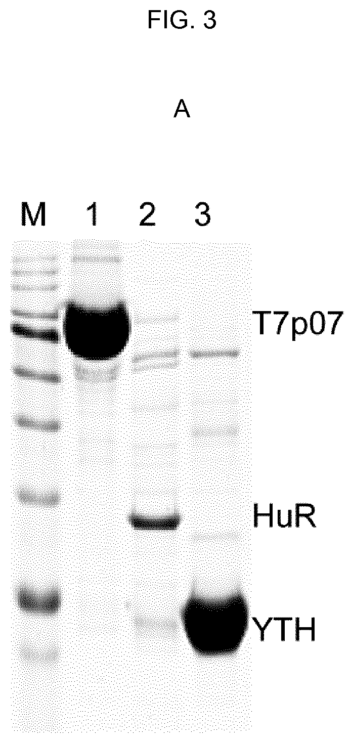 Method and stationary phase for isolating extracellular vesicles from biological material