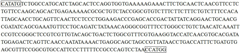 Tumor antigen protein and tumor vaccine