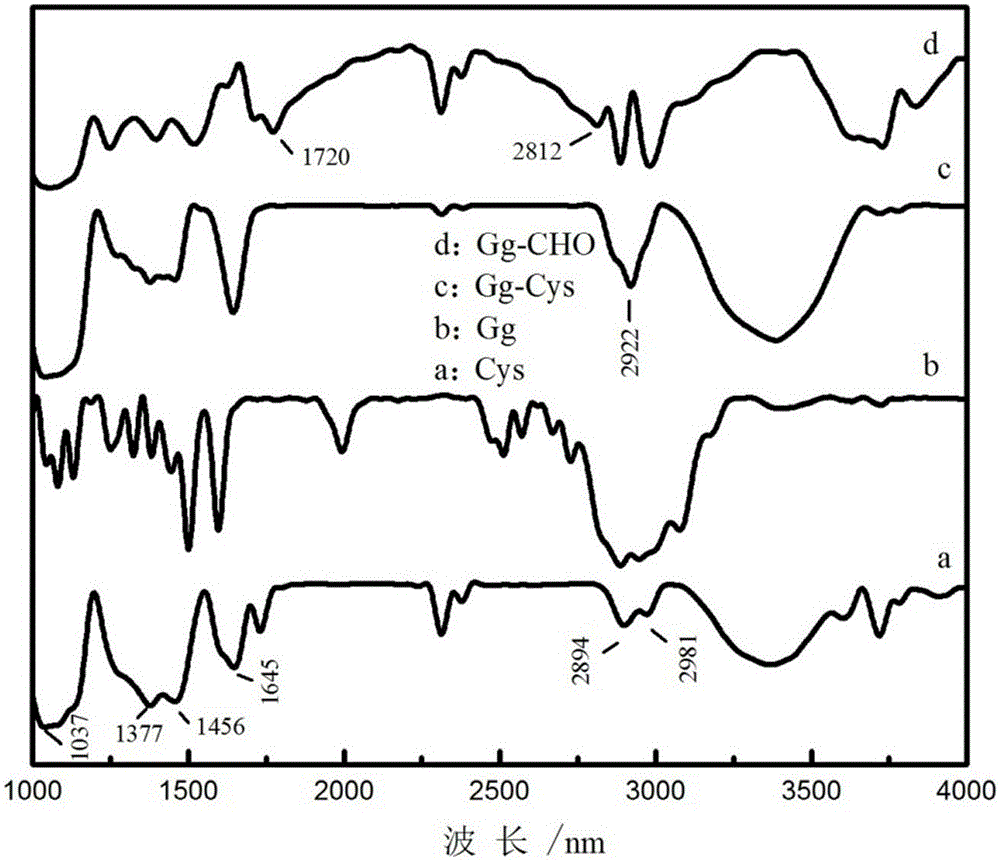 Preparation method of novel sulfhydrylated nanoparticles based on guar gum/cysteine conjugates