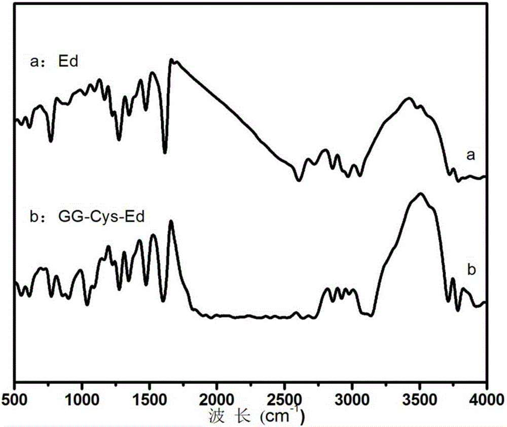 Preparation method of novel sulfhydrylated nanoparticles based on guar gum/cysteine conjugates