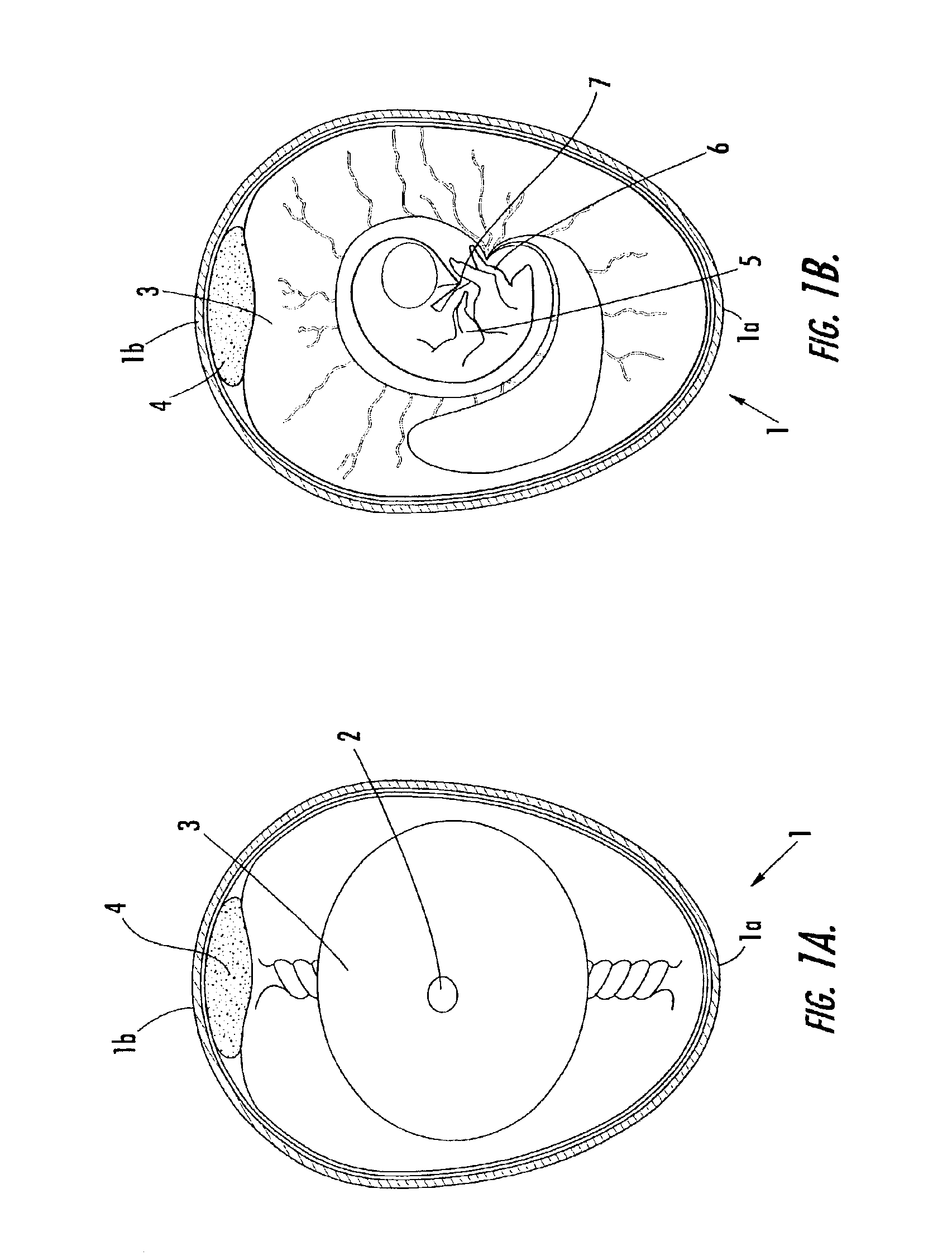 Methods and apparatus for identifying live eggs by detecting embryo heart rate and/or motion