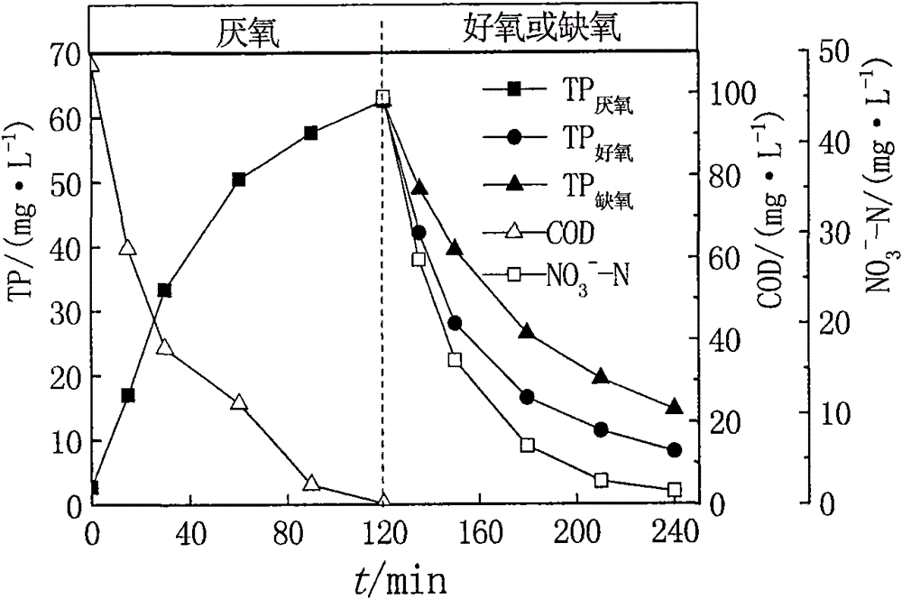 Denitrifying dephosphorization device and method of A2/O-biological aerated filter (BAF)