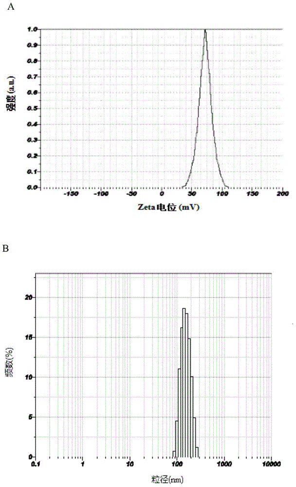 SiRNA (Small interfering Ribonucleic Acid)/anti-cancer drug combined transferring composite supporter and preparation method and application thereof