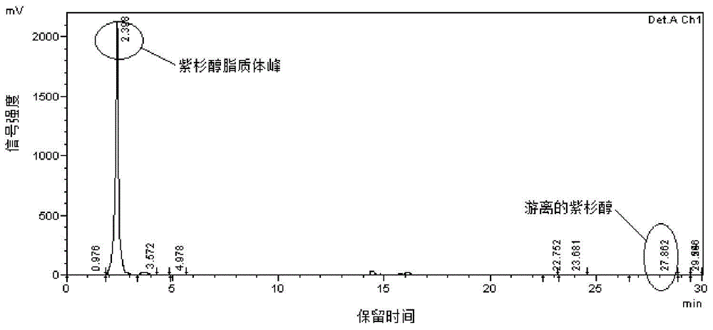 SiRNA (Small interfering Ribonucleic Acid)/anti-cancer drug combined transferring composite supporter and preparation method and application thereof