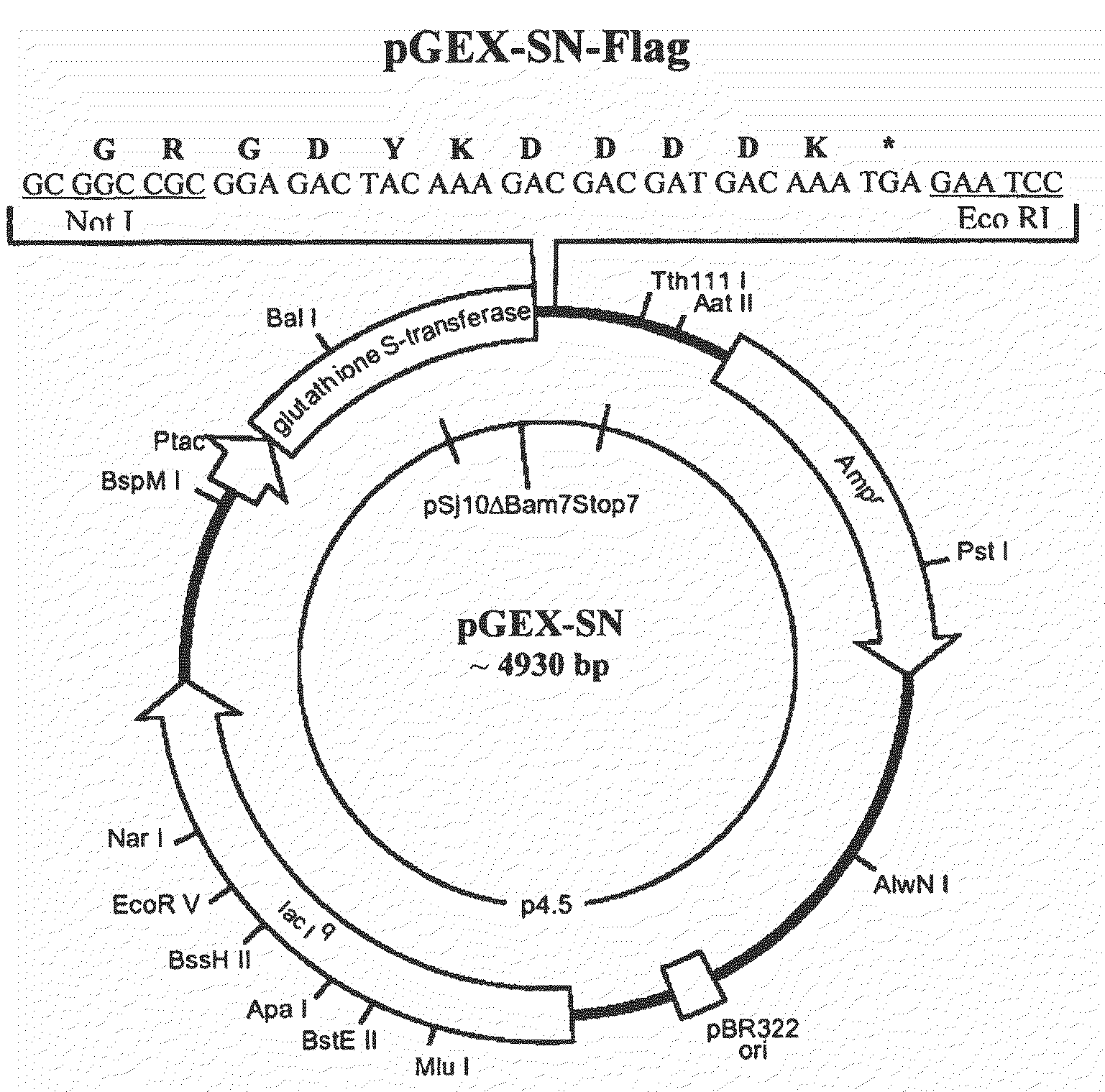 Recombinant antigens of human cytomegalovirus (HCMV)