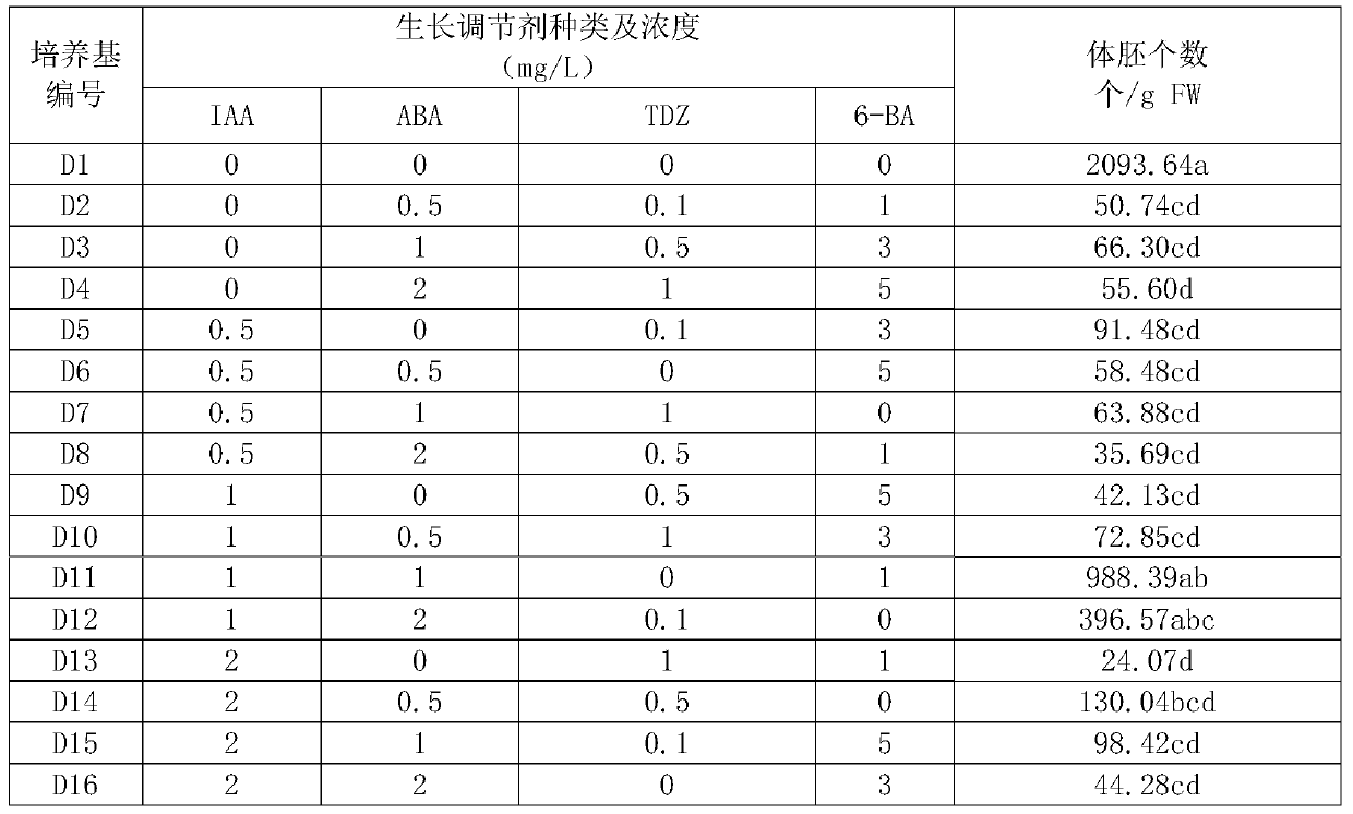 Regeneration method of 'Da-ding-xiang' litchi variety in vitro